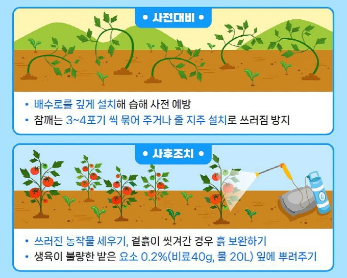 김천시 기술지원과, 장마 대비 농작물 관리 지도-기술지원과(사진4).jpg
