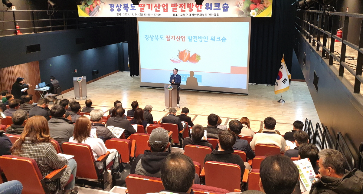 경상북도, 딸기산업 종합발전 방안 고령에서 워크숍 개최
