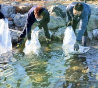 경북도, 동해안 은빛물결 어린연어 90만 마리 방류